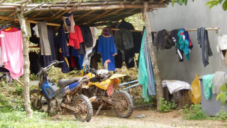 Une poule en cross, gaaare !